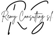 Remy Consulting